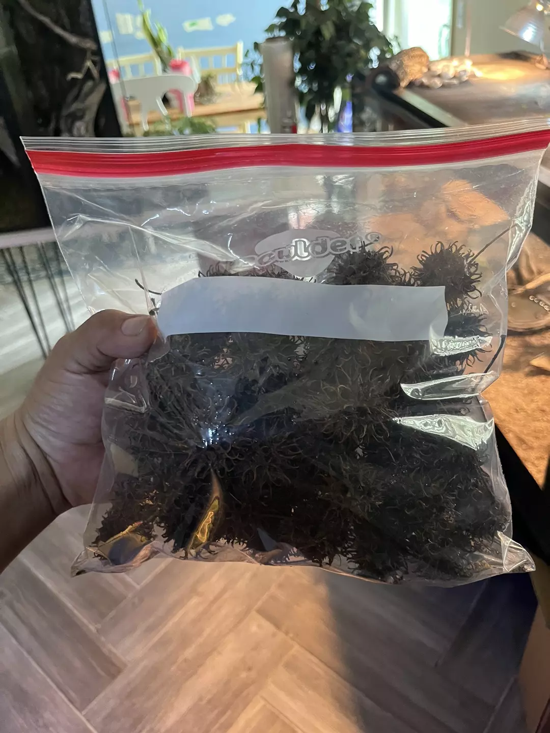 1 gallon bag of sweet gum balls thumbnail