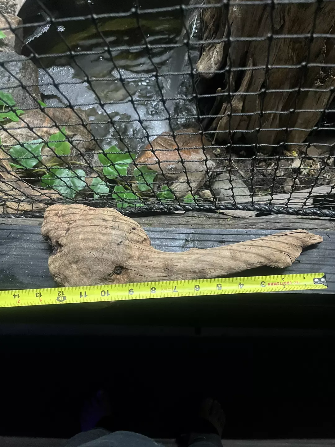 15” long driftwood thumbnail