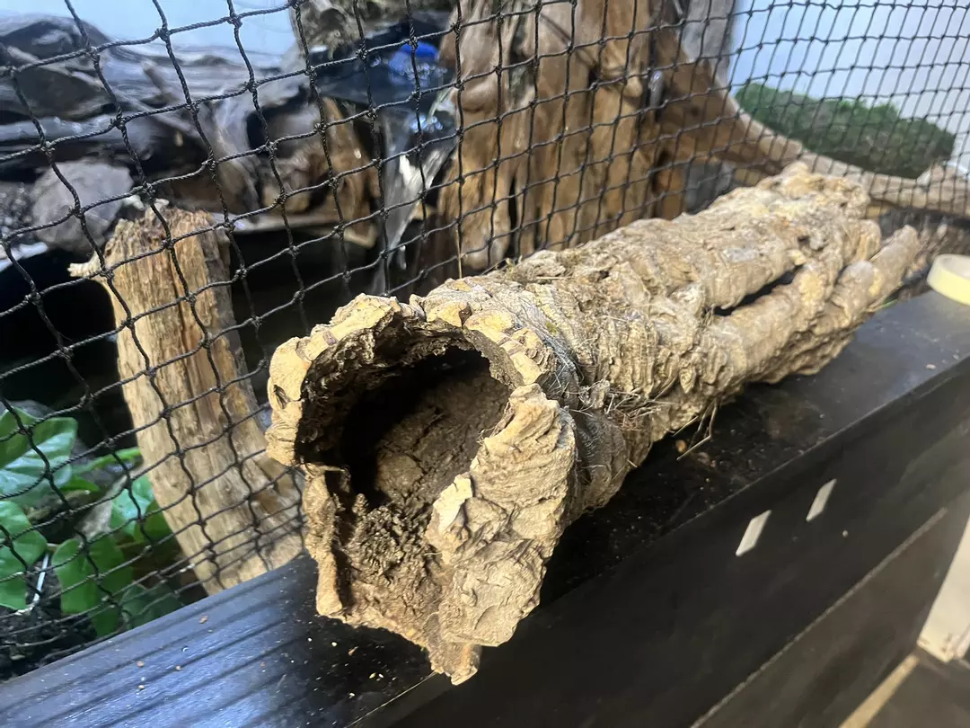 23” long x 3” opening thumbnail
