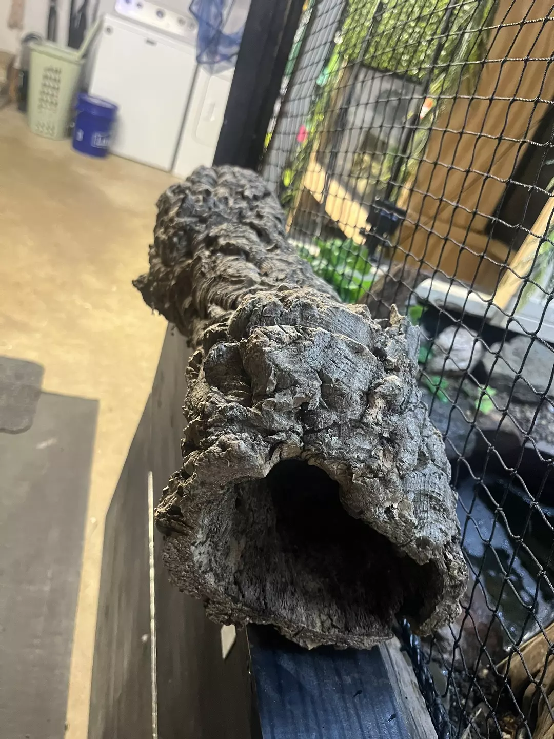 23” long x 4” opening thumbnail