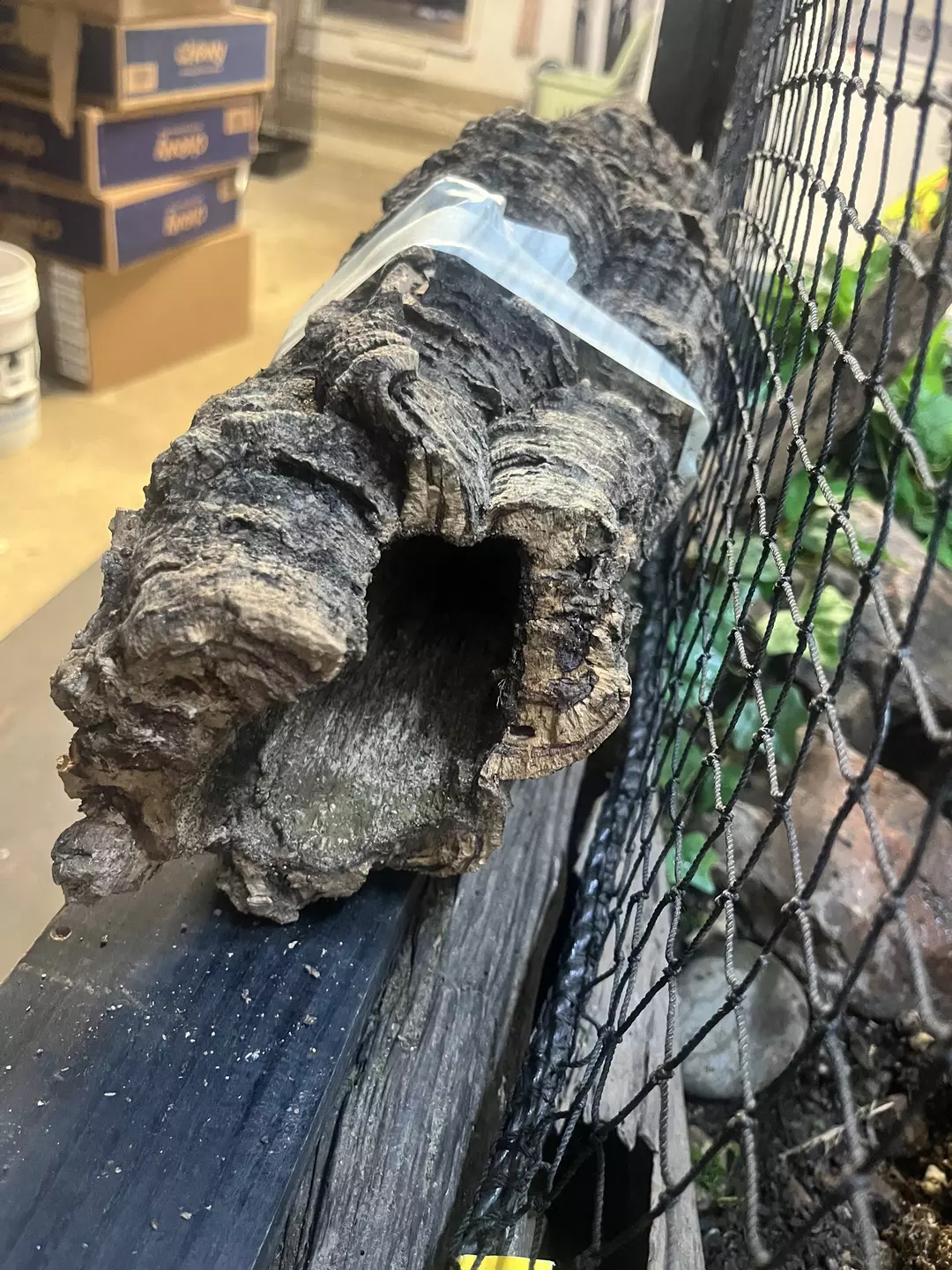 25” long x3” opening thumbnail