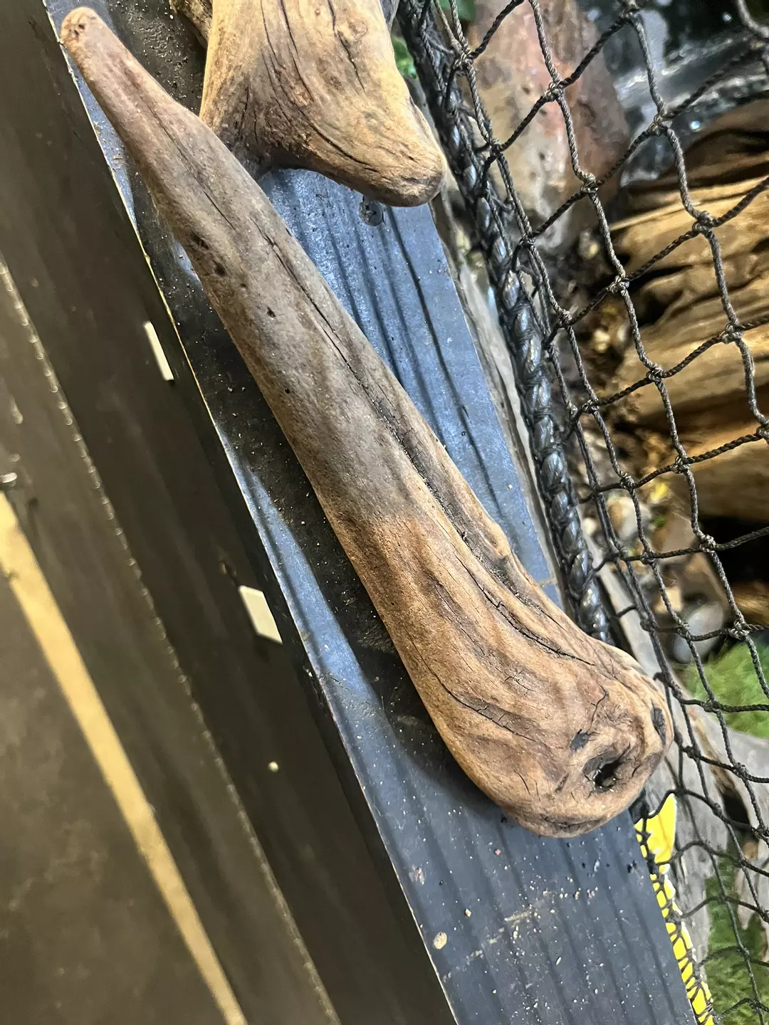 X2 10” driftwood thumbnail
