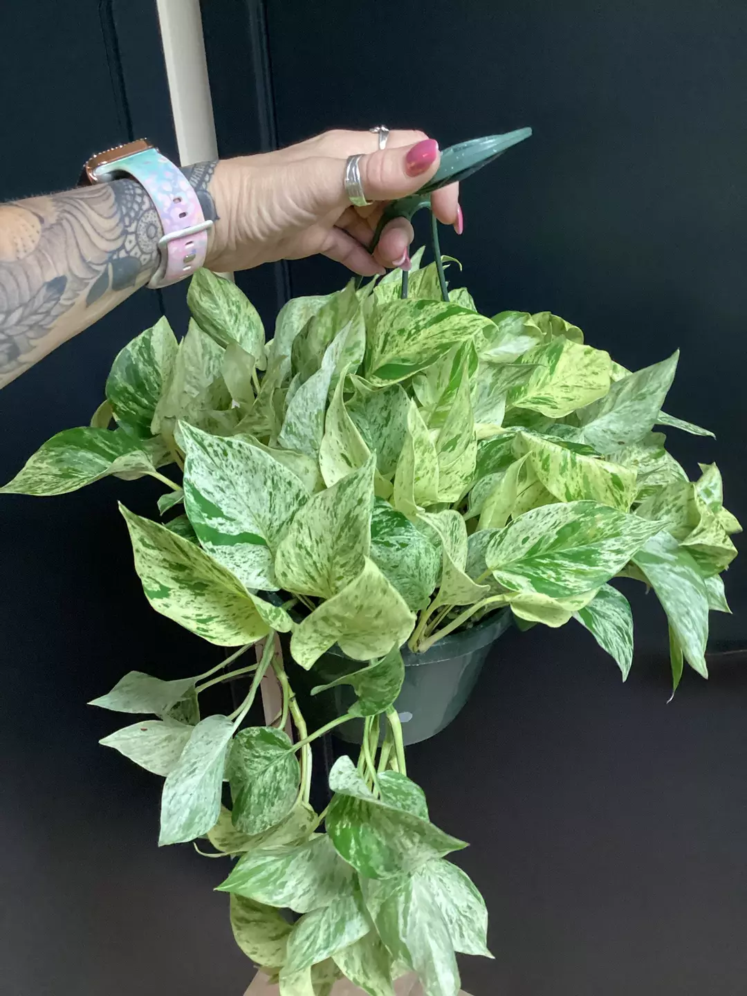 Large marble queen basket  thumbnail