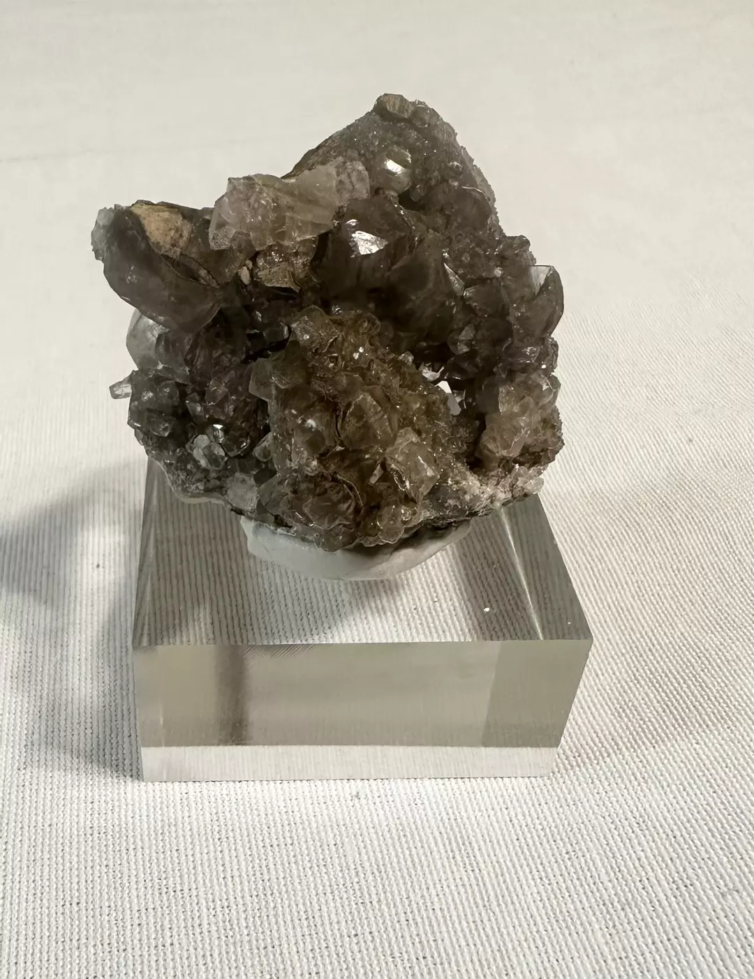 Specimen on a clear stand  thumbnail