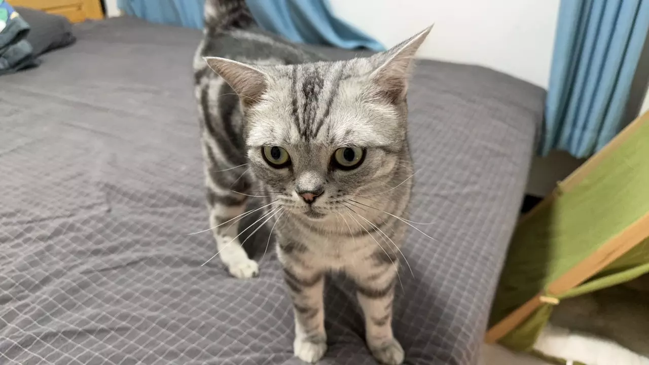 plant/Klnlknbhuhvgu-0