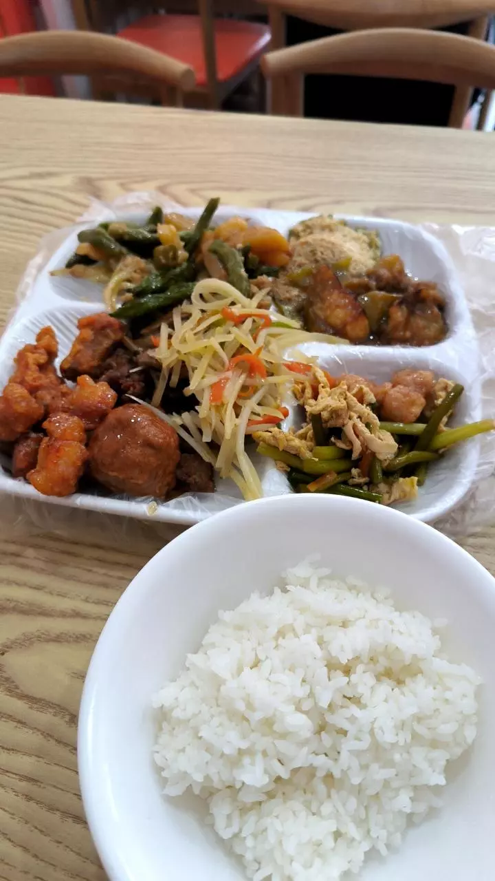 plant/161616161616-0