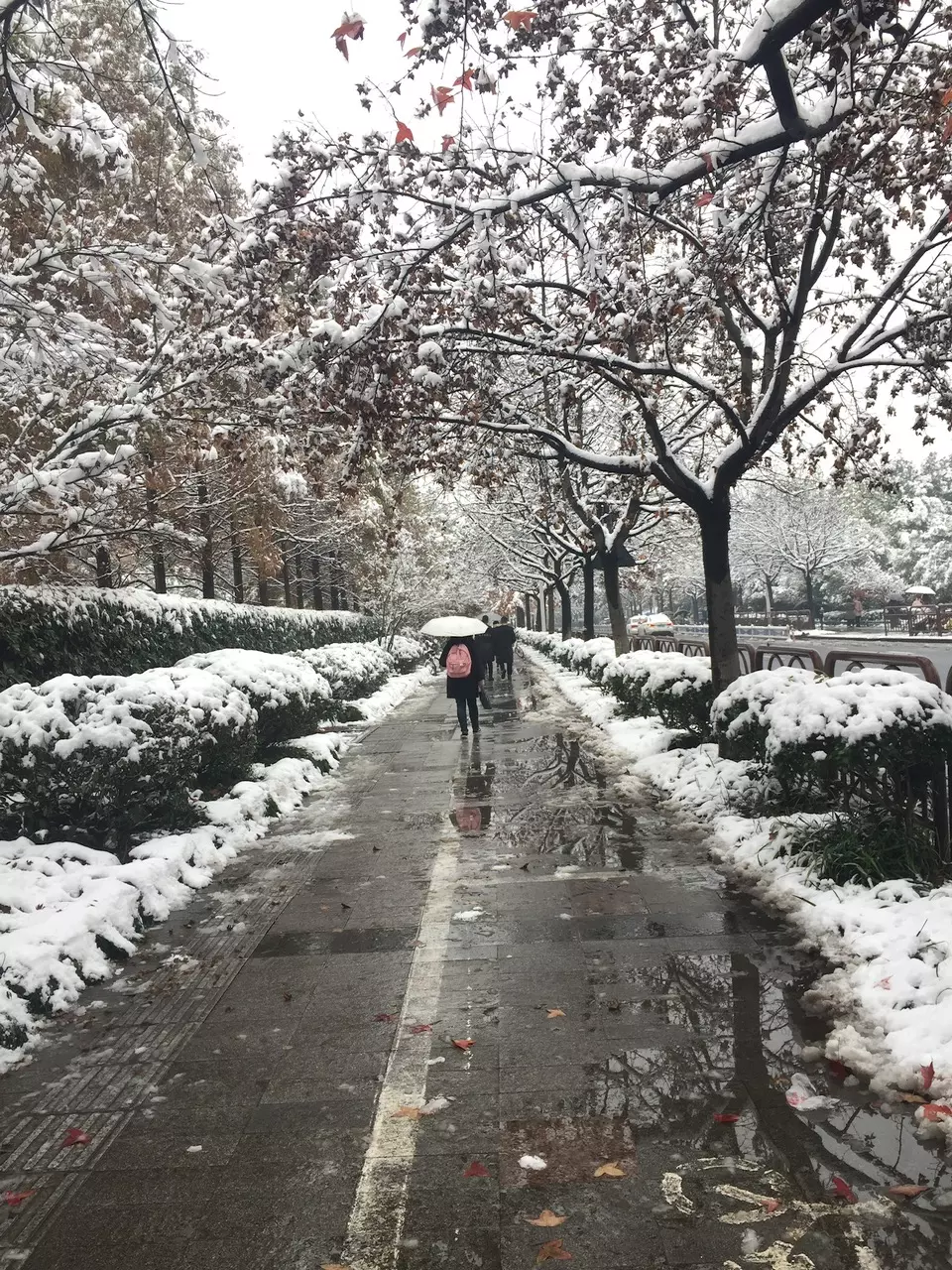 heat_pack/36 hours heat pack001-0