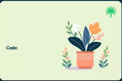 gift_card/🎁 gift card 500-0-thumbnail