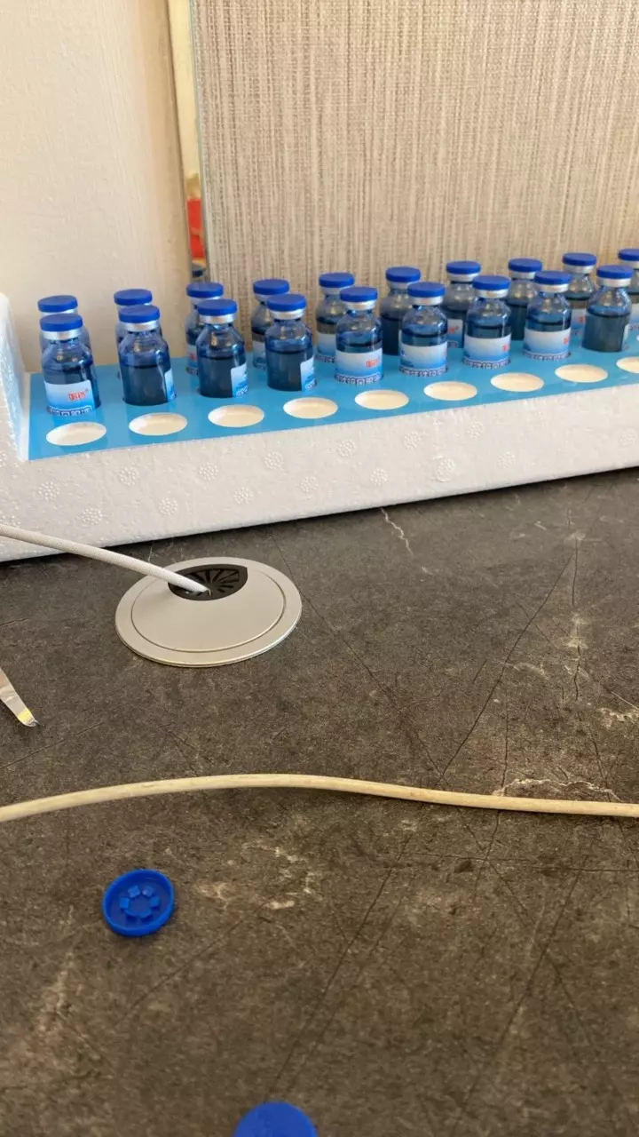 plant/The only way I-0