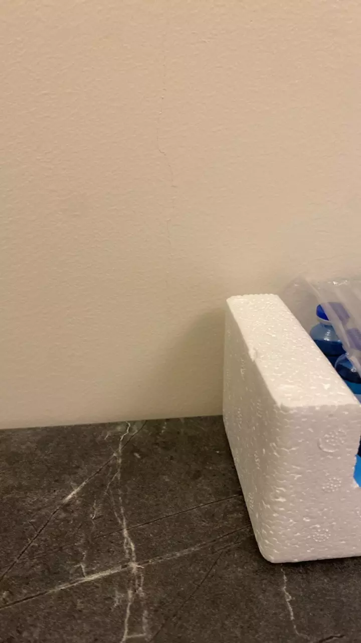 plant/The The The The 1111111-0