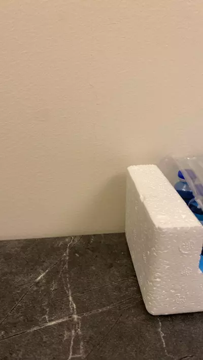 plant/The The The The 1111111-0-thumbnail