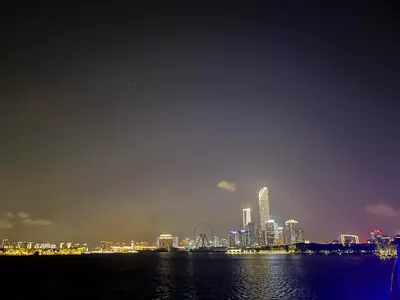 plant/City sky-1-thumbnail