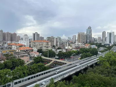 plant/City sky-2-thumbnail