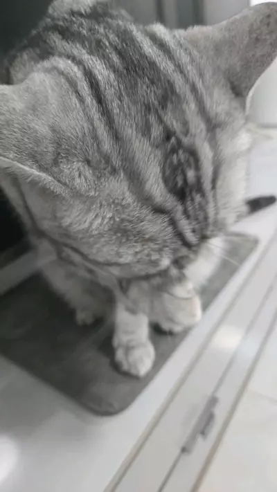 plant/Local22-0-thumbnail