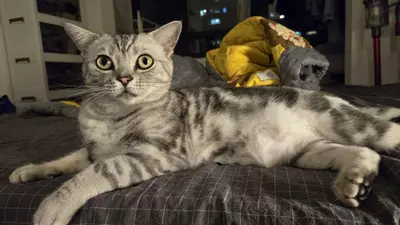 plant/Hdjdjd idid idjdjd oxidized idido oxidized idid iidodiid ididgbwj6cyeue ixidhdjk-0-thumbnail