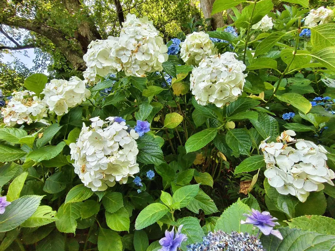 custom shipping fee thumbnail