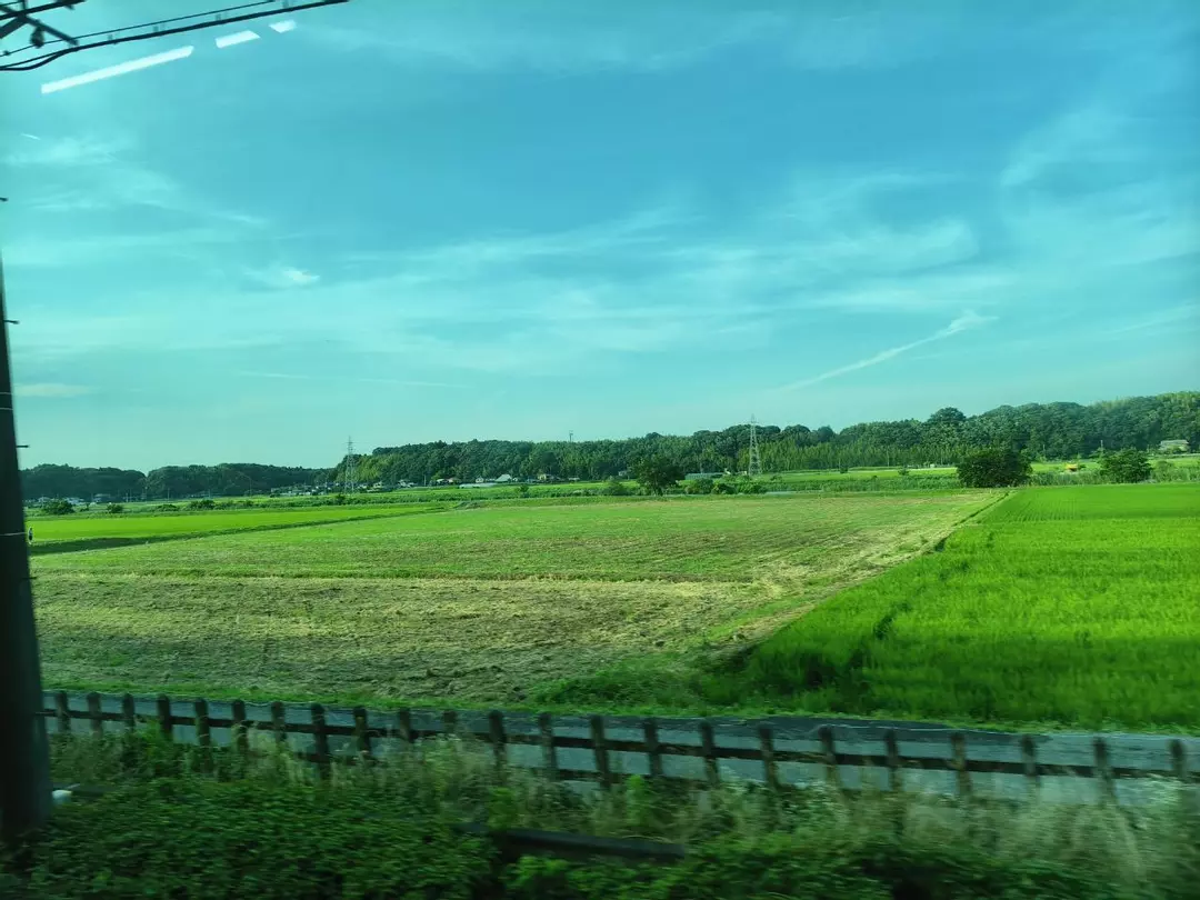 add one donot change thumbnail