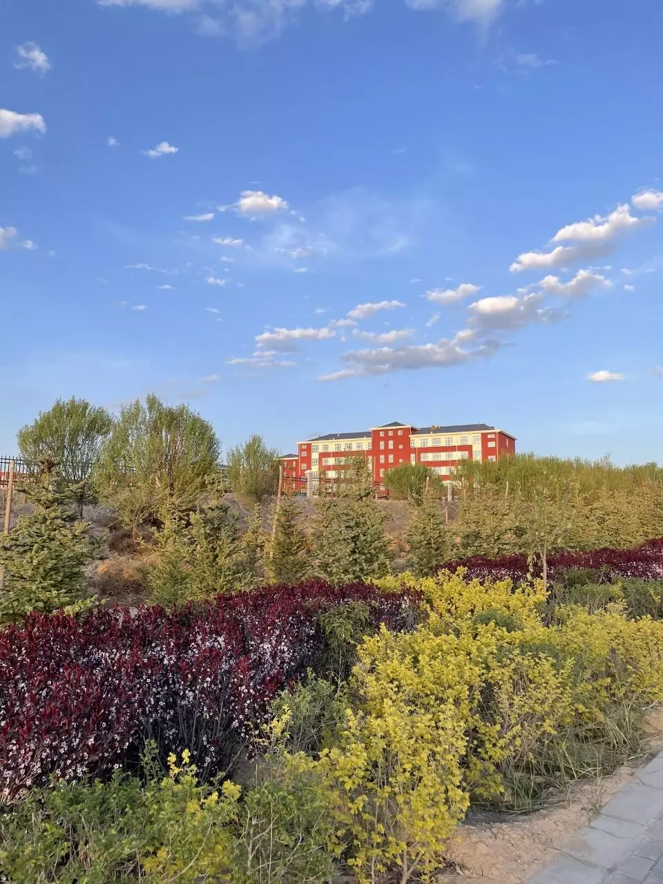 plant/Only pick up-0