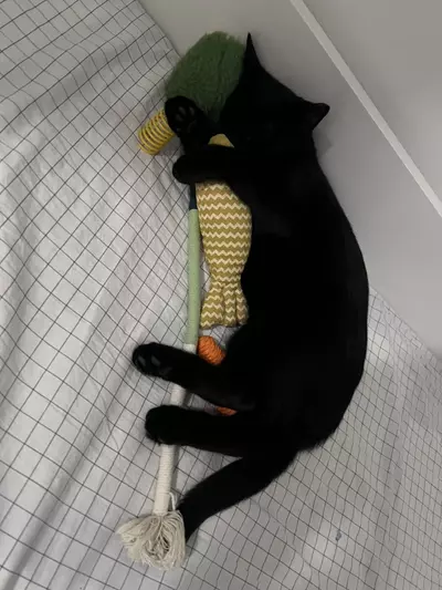 plant/Create test-0-thumbnail