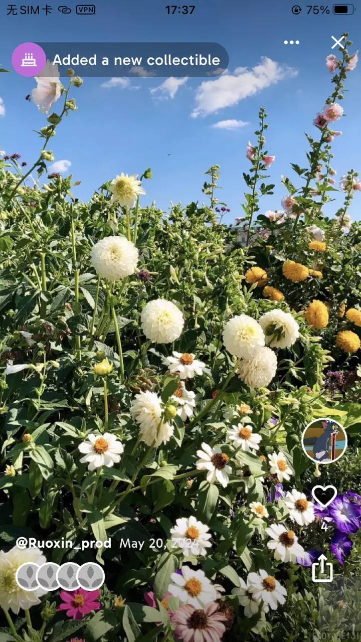 gift_card/Giftcard-0