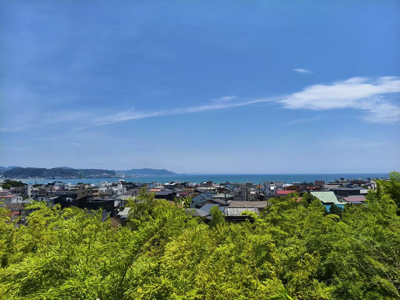 plant/restocking aaaa-0