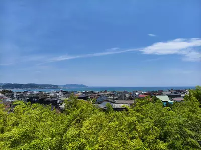 plant/restocking aaaa-0-thumbnail