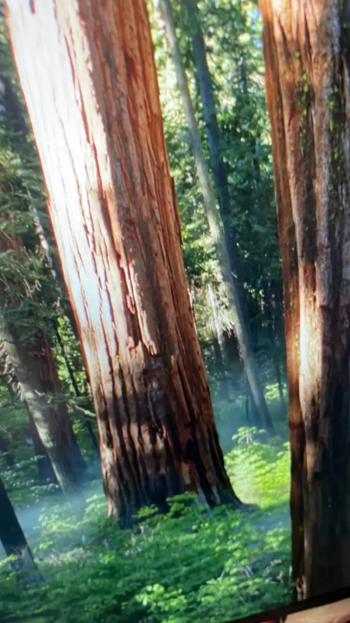 flat rate one thumbnail