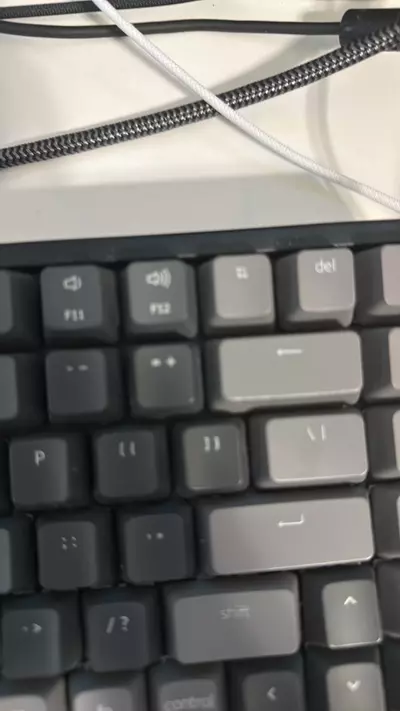 plant/Tesyeb-0-thumbnail