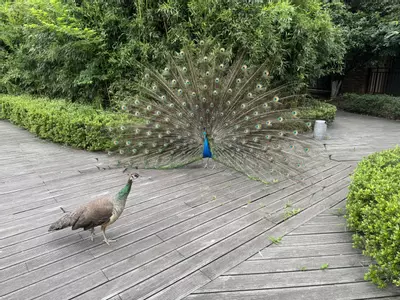 plant/Listing0807-0-thumbnail