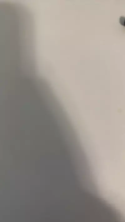 plant/Commend-0-thumbnail