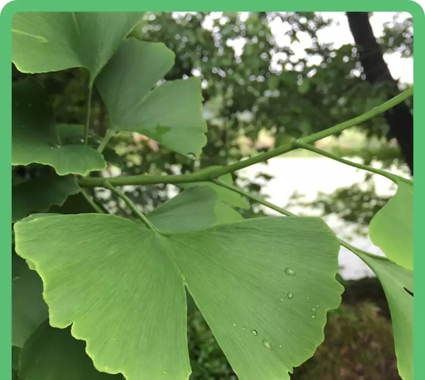 Test coins thumbnail