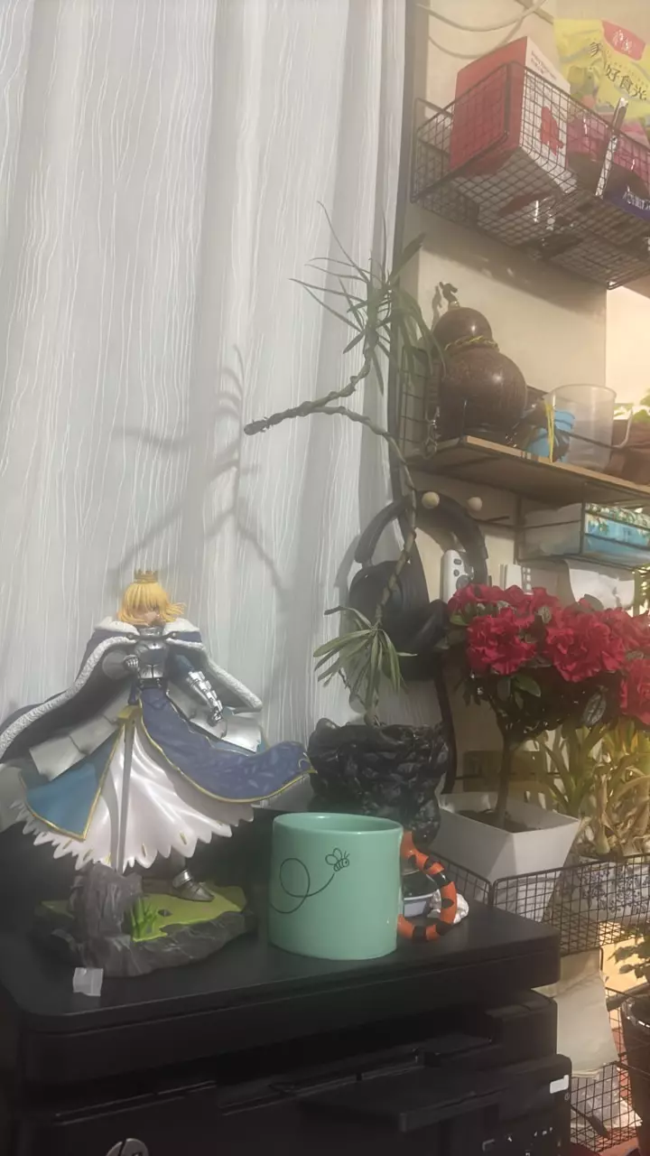 Ray Ray Ray thumbnail