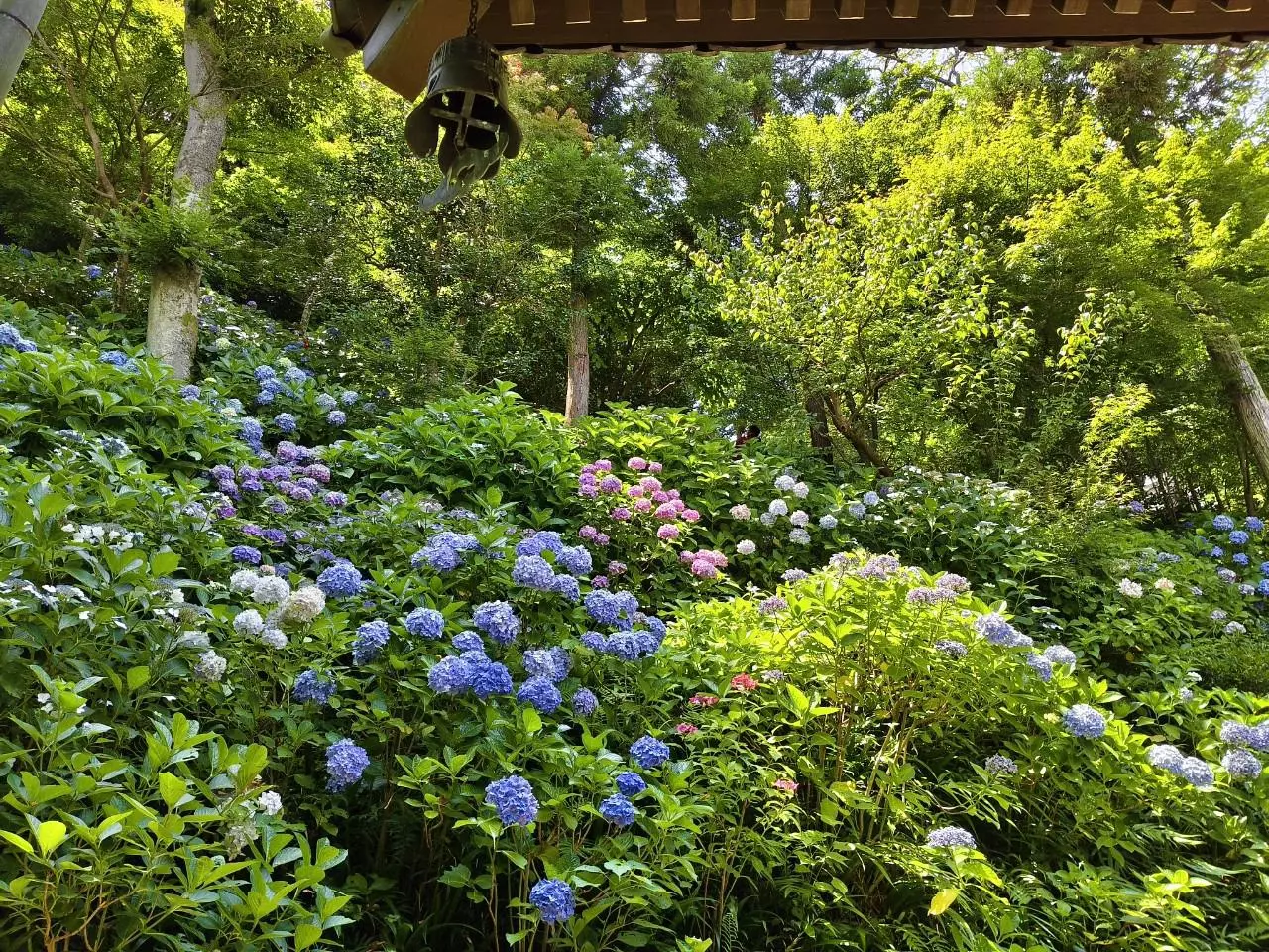 calculated shipping fee