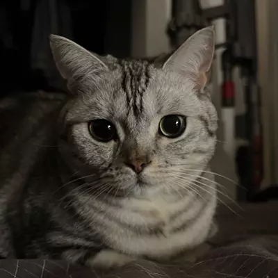 plant/44purge-0-thumbnail