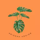 Arizona_Aroids