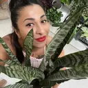 LadyRoRo