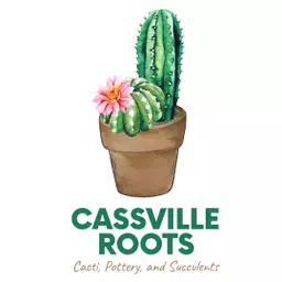 CassvilleRoots
