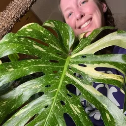 Elsie_Loves_Plants13