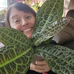 PlantyMomma7