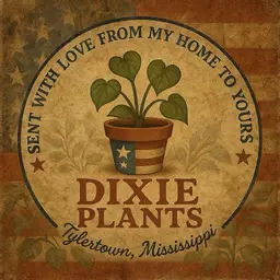 DixiePlants