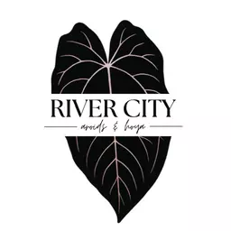 RiverCityAroids