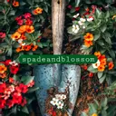 Spadeandblossom