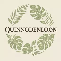 Quinnodendron