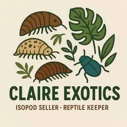 Claire_exotic
