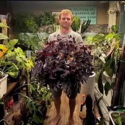 ItsPlants