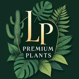 LPpremiumplants