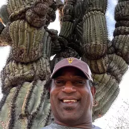 PrickleySewickleyProject